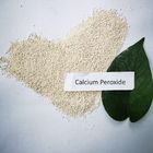 Powder Form Calcium Superoxide , Inorganic Compounds High Purity